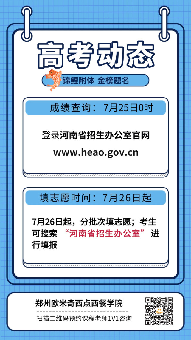 高考改革最新动态，趋势、策略与影响深度解析