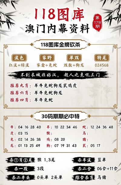 新澳精准资料免费大全,调整方案执行细节_娱乐版305.210