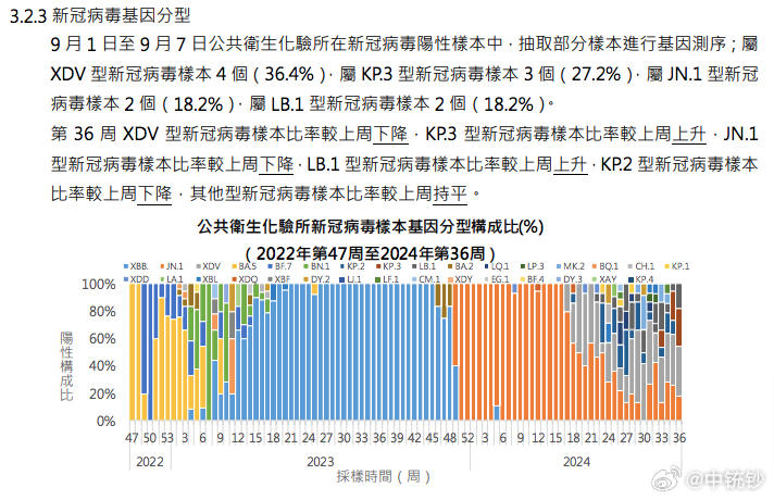 2024澳门天天彩,数据导向实施策略_W96.818