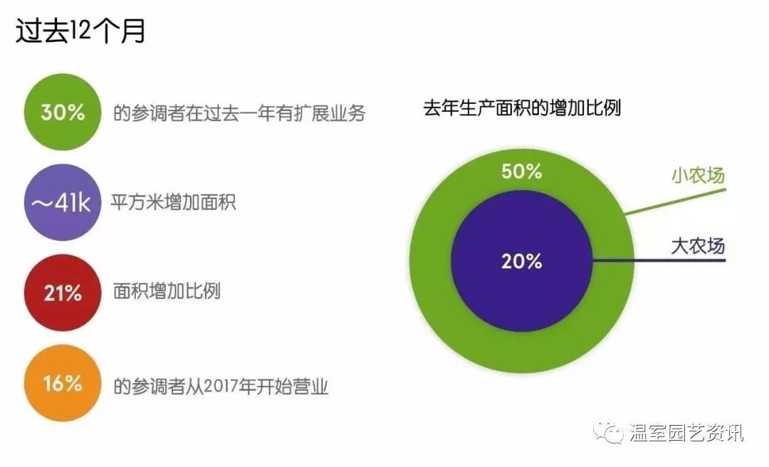 新澳门中特网中特马,实践调查解析说明_探索版31.326