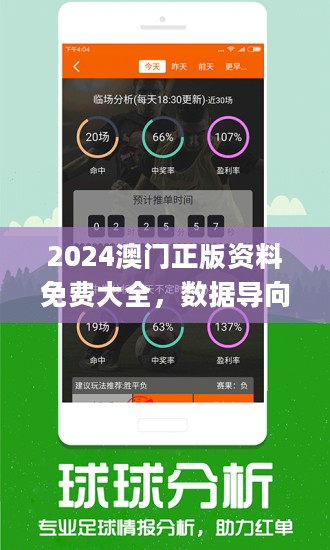 2024新澳精准正版资料,稳定计划评估_HT73.660