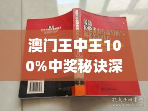 澳门王中王100%正确答案最新章节,动态词语解释落实_精装款87.194