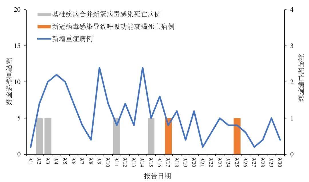 新冠病毒2024年最新消息,持久设计方案策略_pro38.262