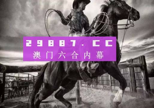 澳门马买马网站com,最新核心解答落实_基础版2.229