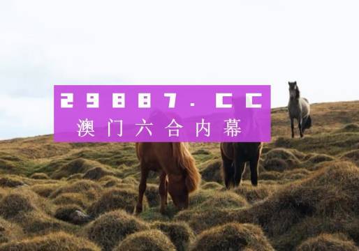 香港宝典王中王资料,专业解析评估_专属款65.262