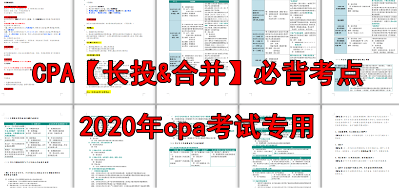 2024年12月11日 第24页