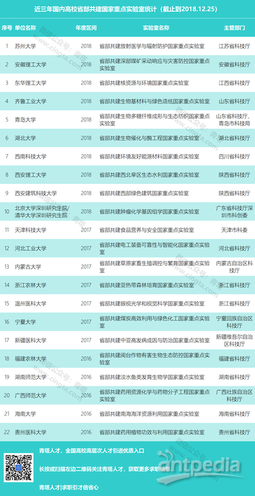 2024年12月11日 第17页