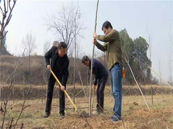 西庄镇未来繁荣蓝图，最新发展规划揭秘