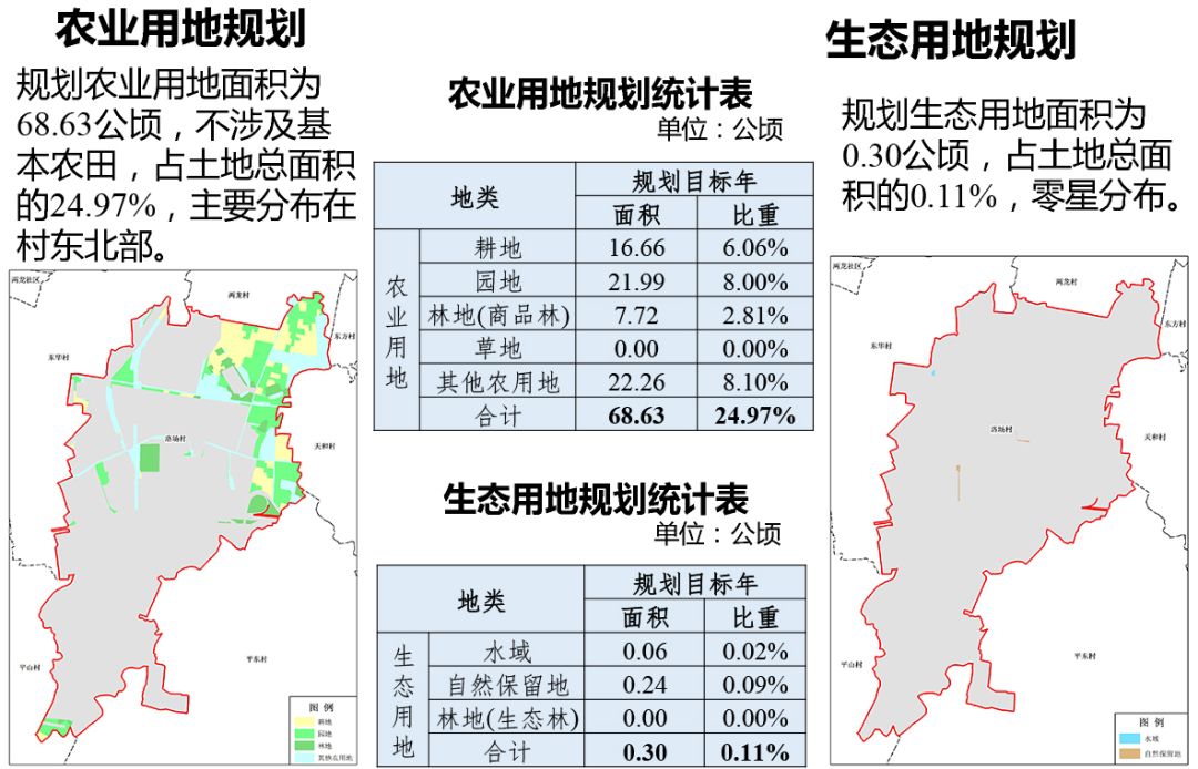 若洛村发展规划揭秘，走向繁荣与和谐共生之路