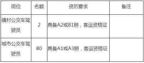 最新公交司机招聘，行业趋势分析、需求解读与应聘指南