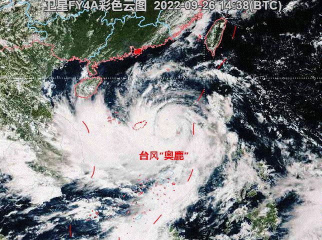 中国最新台风动态及影响概述