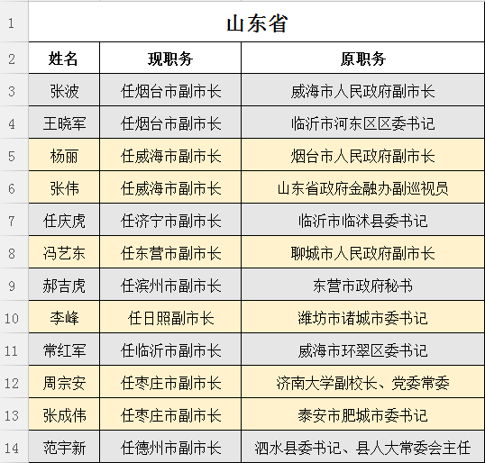 山东省最新任免动态解读