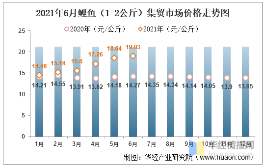 鲤鱼价格行情最新动态解析