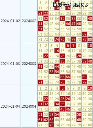 2024天天六开彩免费资料,互动性执行策略评估_豪华版180.300