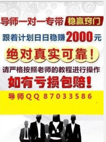 2024年正版免费天天开彩,准确资料解释落实_领航版94.899