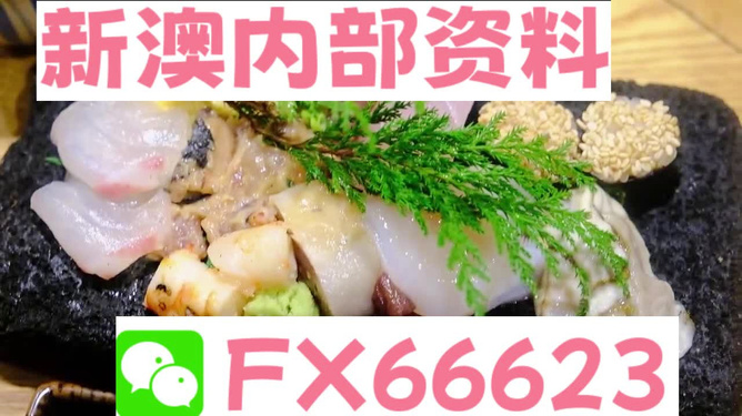 新澳精准资料免费,动态词语解释落实_标准版6.676