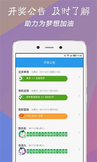 新澳门今晚开奖结果查询,快速方案落实_Lite85.379