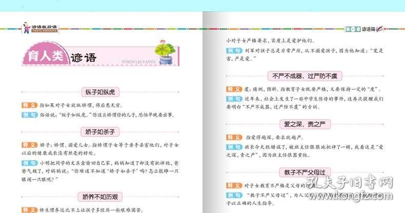 澳门正版资料大全免费歇后语下载金,持久设计方案_特别款55.29