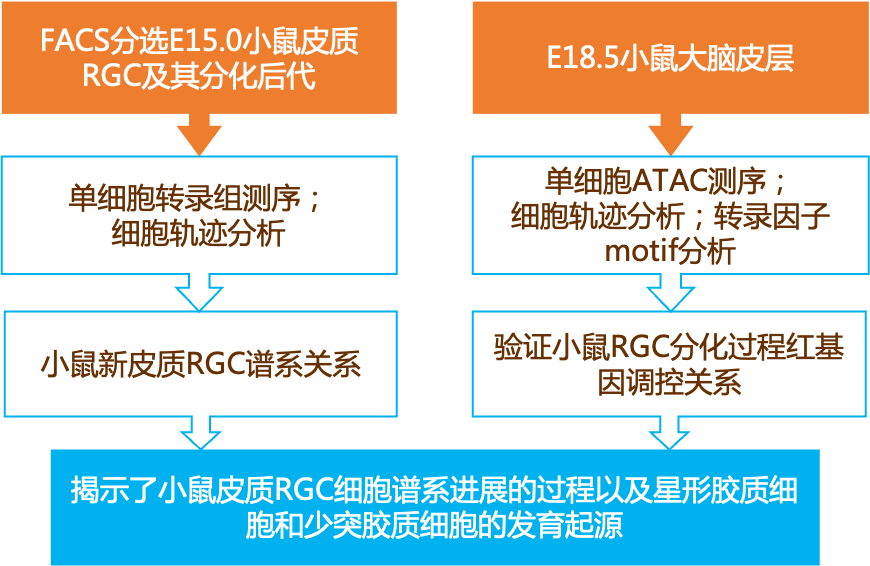 2024新奥正版资料大全,效率资料解释落实_创新版31.659