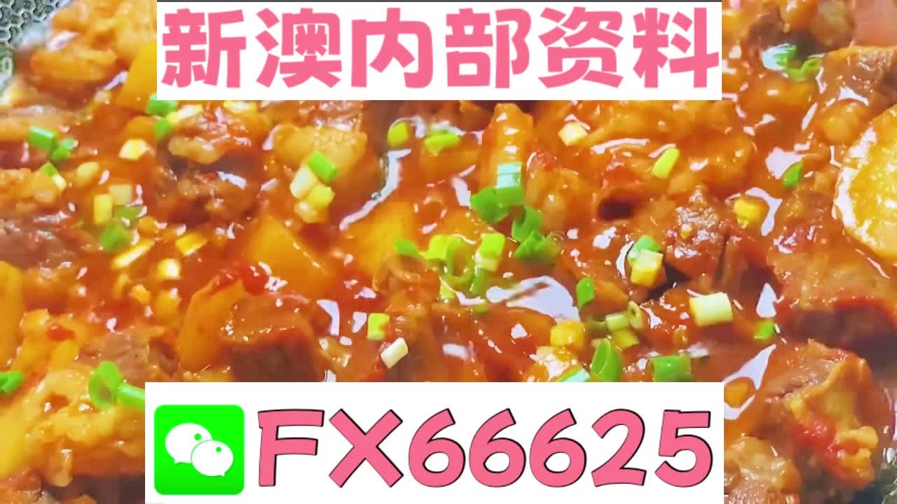 新奥门资料免费资料大全,前沿研究解释定义_AP48.354