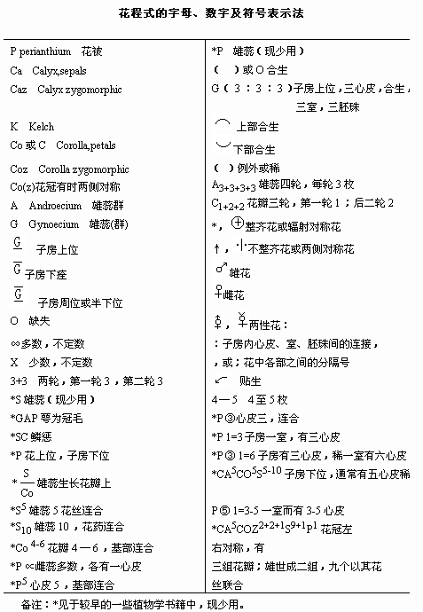 新澳精准资料免费提供353期期,实证研究解释定义_超值版51.167