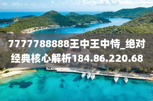 7777788888王中王中恃,迅捷解答方案实施_SE版71.956