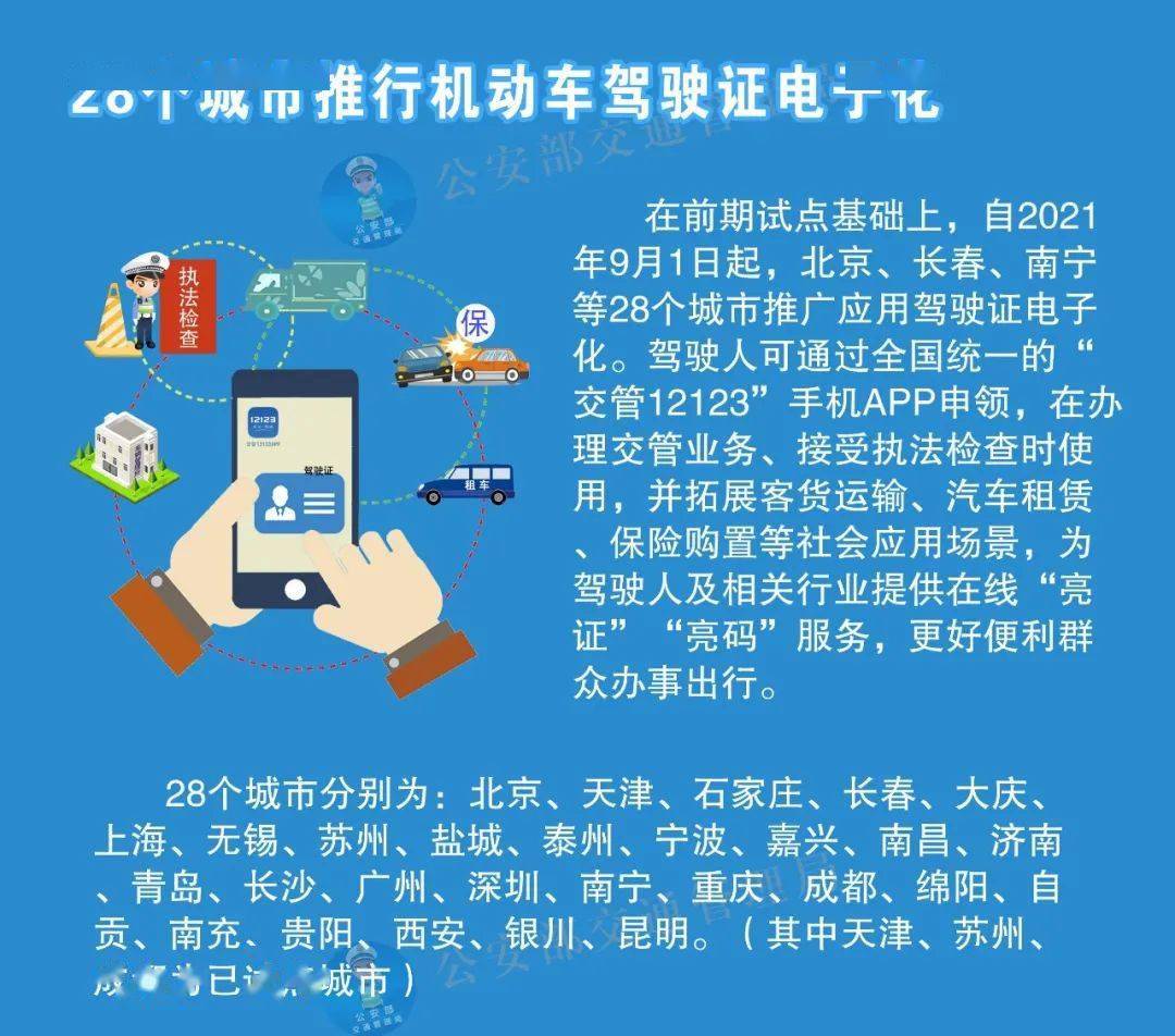 新澳全年免费资料大全,决策资料解释落实_CT66.32