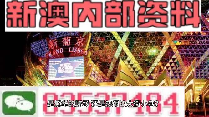 新澳门精准资料大全管家婆料,准确资料解释落实_豪华版180.300