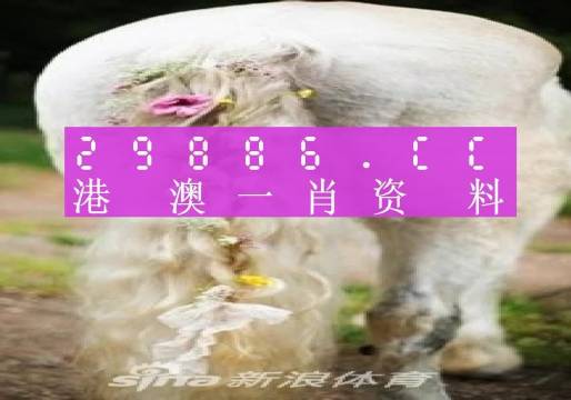 澳门必中一肖一码四不像,整体讲解规划_AR版47.628