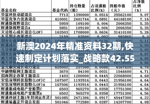 新澳2024年最新版资料,高效设计计划_精英款26.500