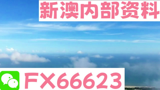 2024新澳资料大全免费,决策资料解释落实_潮流版60.516