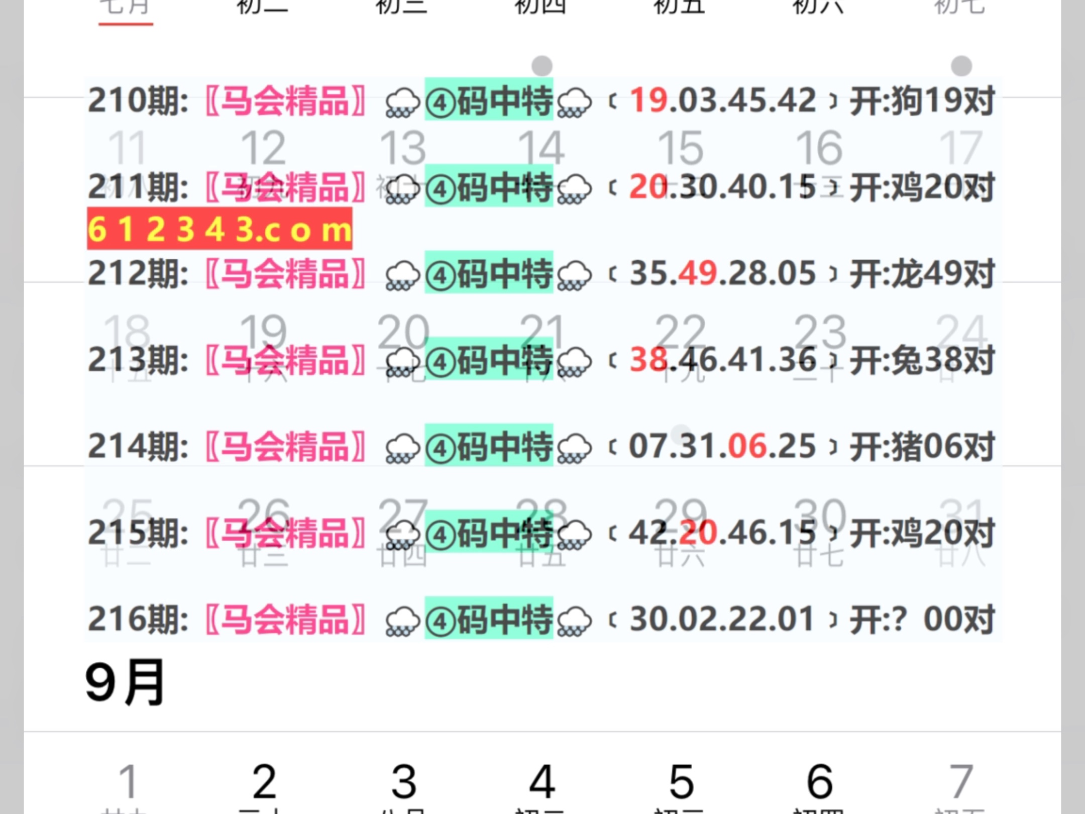 2024澳门天天六开彩免费,专家解读说明_X88.216