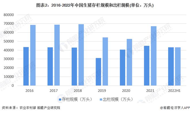 2024年澳门的资料,稳定性执行计划_户外版135.91