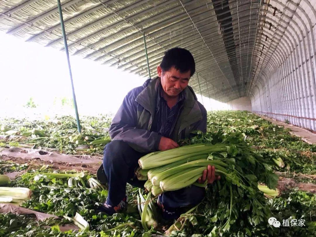 豆赚最新版，一站式赚钱工具的新体验下载安装