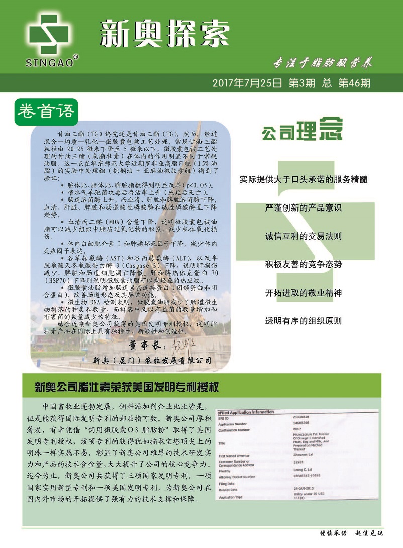 新澳准资料免费提供,最新动态解答方案_suite50.958