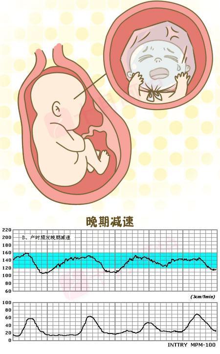 会算数的胎儿最新动态，早期智力发展惊人进展揭秘