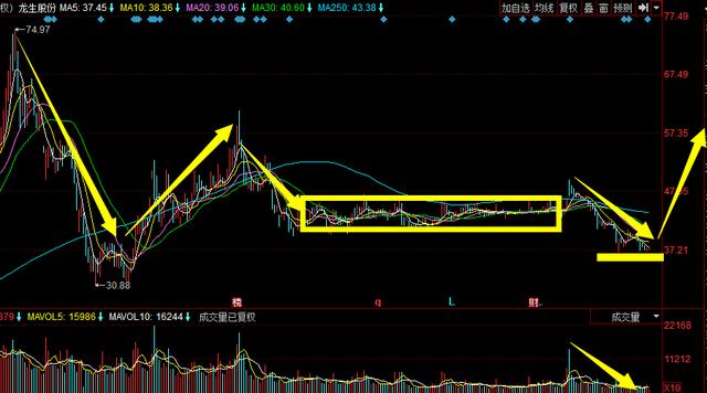 龙生股份股票最新消息全面解读与分析