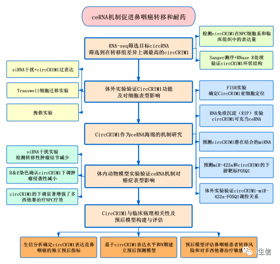 香港正版308免费资料,结构化推进评估_yShop44.684