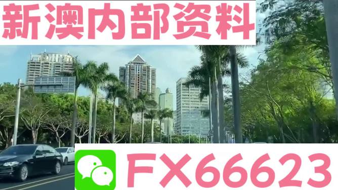 新澳精准资料,灵活解析设计_网红版17.147