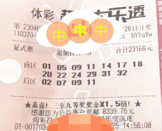 7777788888王中王中王大乐透,实地方案验证策略_旗舰版29.368