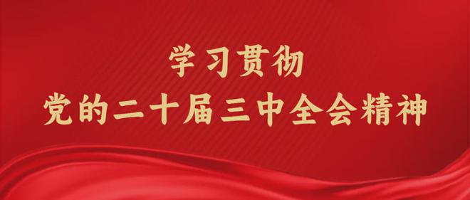 2024年11月30日 第10页