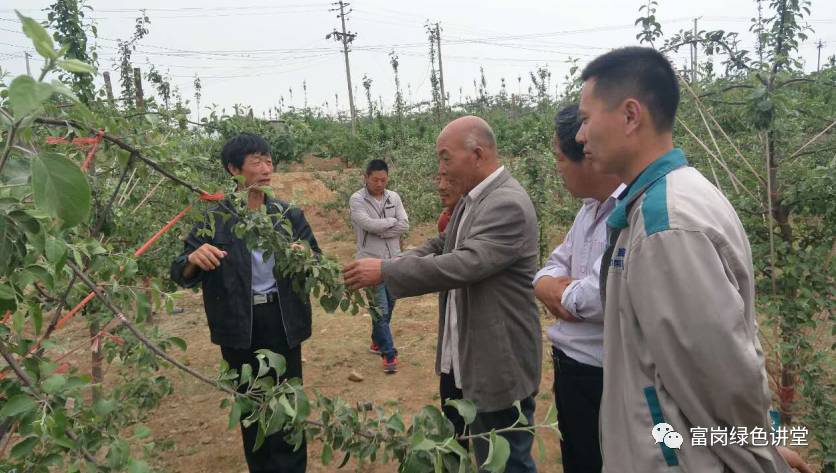 果波村新领导引领村庄走向辉煌新篇章