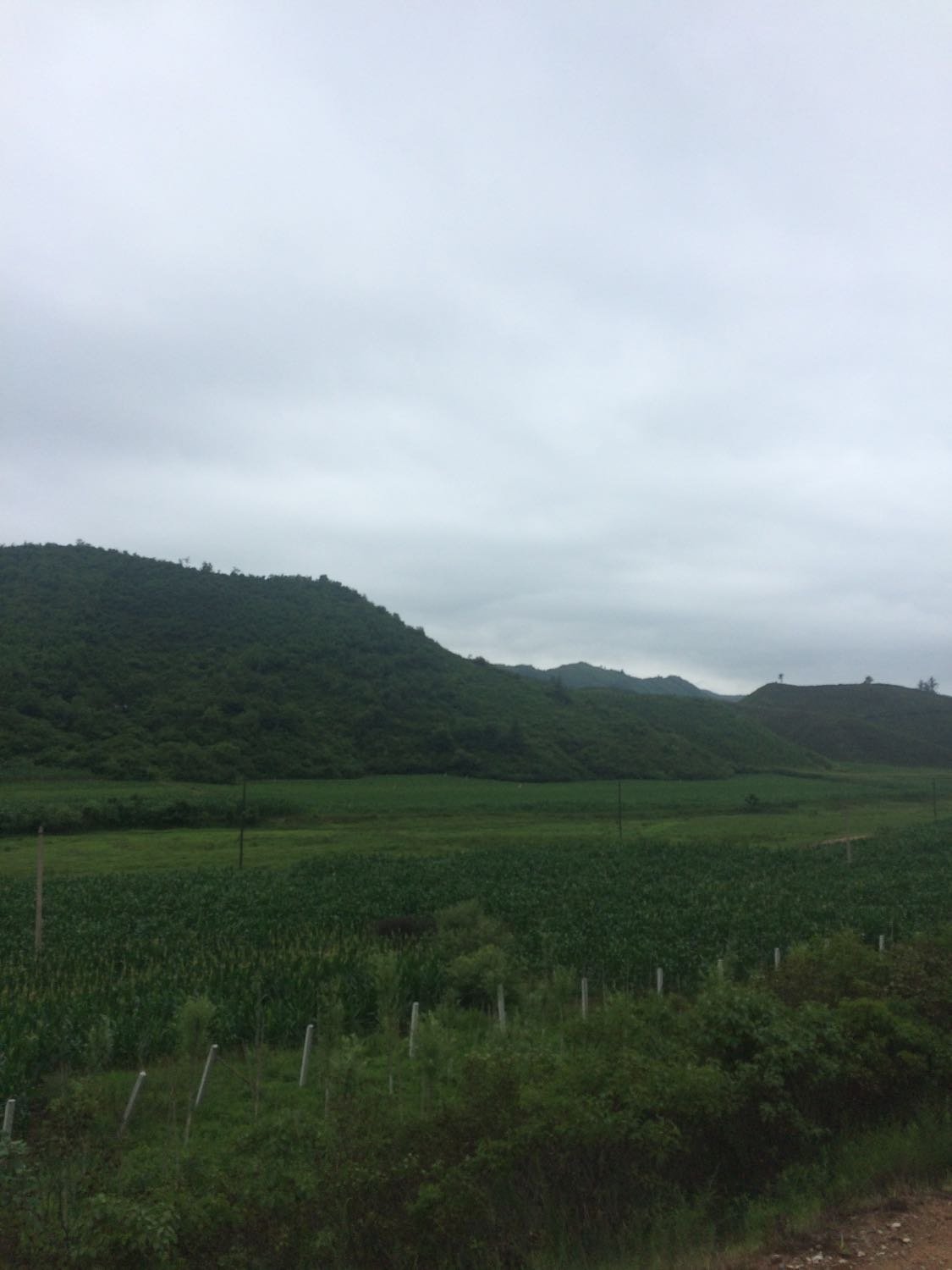 高甸子满族乡天气预报更新通知