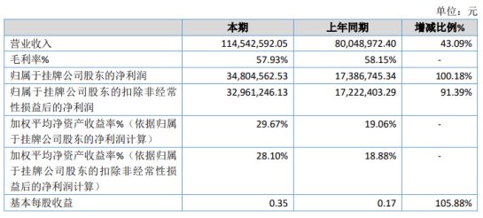 泰山区数据和政务服务局最新项目，数字化转型推动服务创新升级