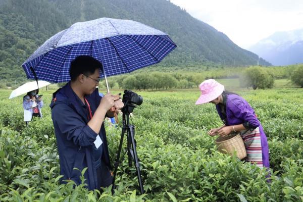 名山农场展现现代农业新篇章，最新新闻揭秘农业现代化进程