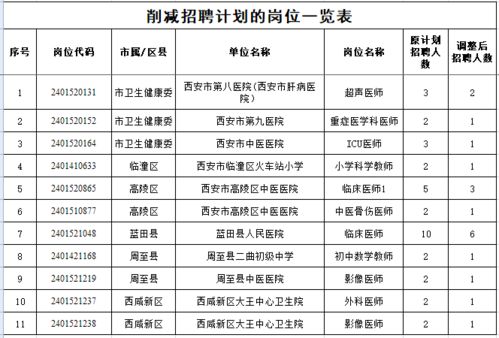 桃山区级托养福利事业单位最新发展规划