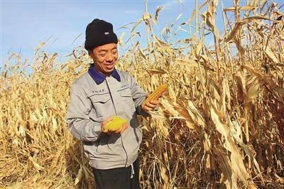 大兴安岭农场宜里农场人事任命动态解析及最新人事调整