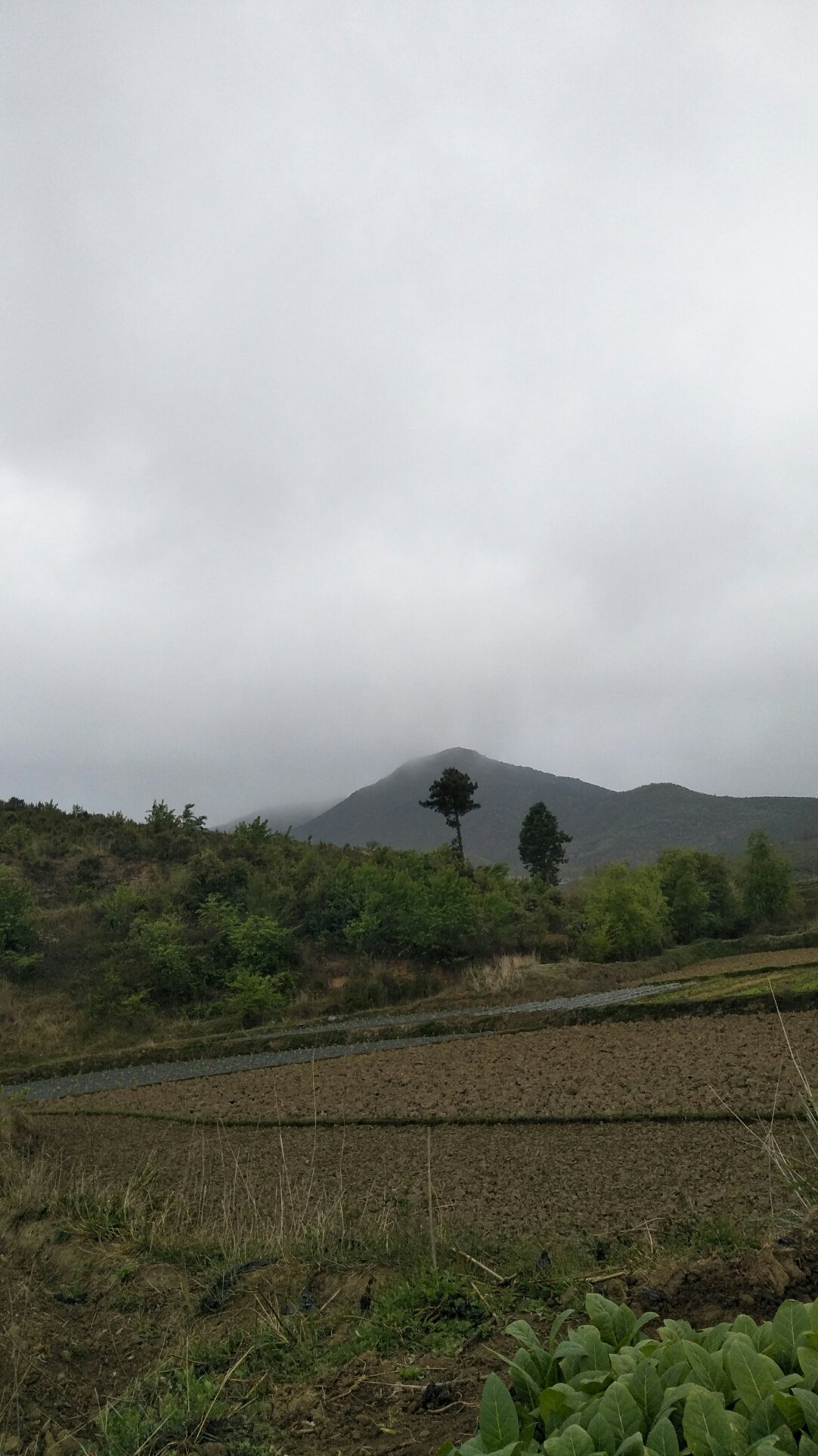 财源镇天气预报更新通知