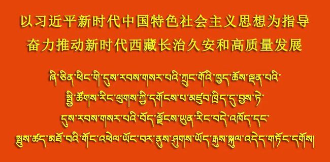 日喀则地区共青团市委最新招聘启事概览