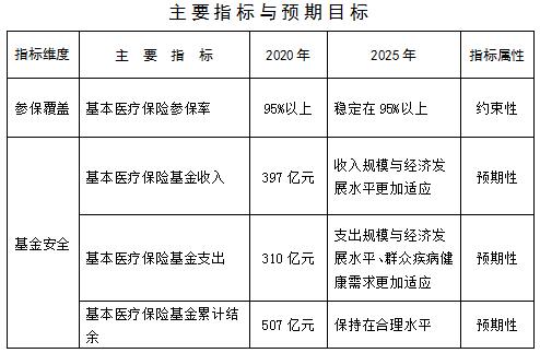 保康县医疗保障局发展规划展望